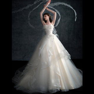 Strapless Tulle A Line Wedding Dresses & Bridal Gowns