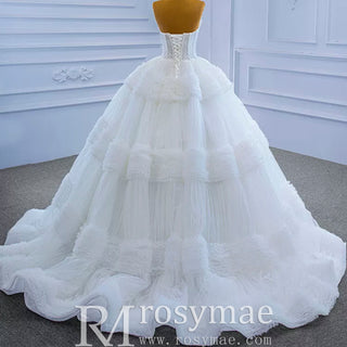 Quinceanera Celebrity Dress Tulle Sweet 16 Ball Gown Wedding Dress