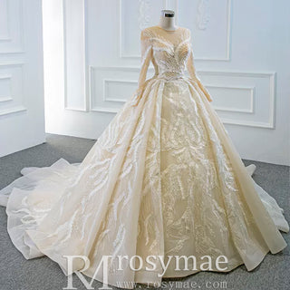 Long Sleeve Champagne Puffy Wedding Dress with Long Sleeve