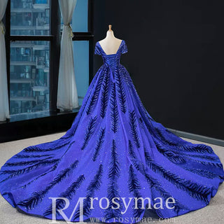 Royal Blue Sparkly Prom Dress Evening Gown with Detachable Train