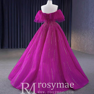 Sparkly Off the Shoulder Evening Dress Puffy Ball Gown Long Prom Dress