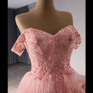 A-line Floral Applique Birthday Princess Formal Gown Party Dress