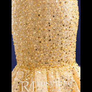 Luxury Gold Mermaid Vneck Wedding Dresses Trumpet Pageant Gown