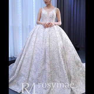 Modest and Sparkly Ball Gown Wedding Dress with Queen-ann Neck