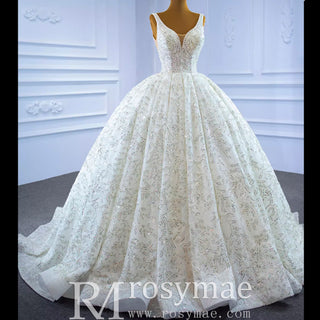 Modest and Sparkly Ball Gown Wedding Dress with Queen-ann Neck