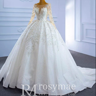 Sparkly Luxury Princess Puffy Wedding Dress with Long Sleeve