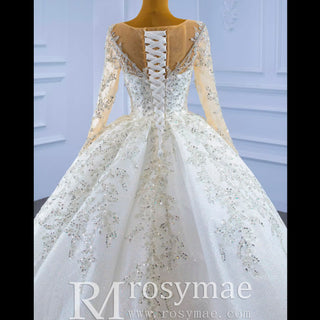 Sparkly Luxury Princess Puffy Wedding Dress with Long Sleeve