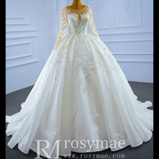 Sparkly Luxury Princess Puffy Wedding Dress with Long Sleeve