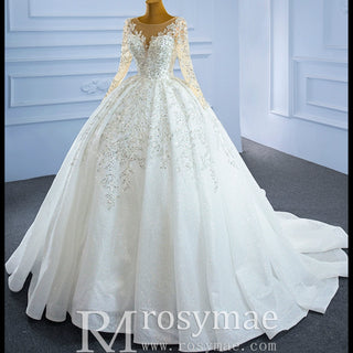 Sparkly Luxury Princess Puffy Wedding Dress with Long Sleeve