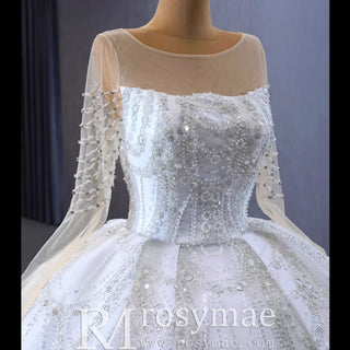 Sparkly Sheer Long Sleeve Puffy Skirt Ball Gown Wedding Dress