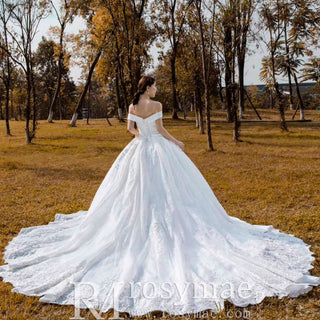 Off the Shoulder Ball Gown Lace Wedding Dress with Long Train