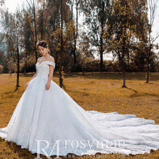 Off the Shoulder Ball Gown Lace Wedding Dress with Long Train