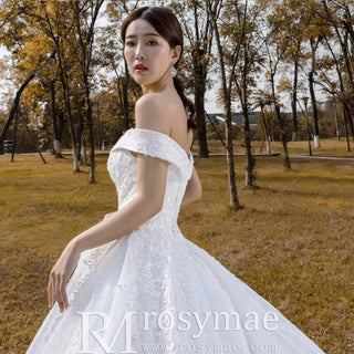 Off the Shoulder Ball Gown Lace Wedding Dress with Long Train