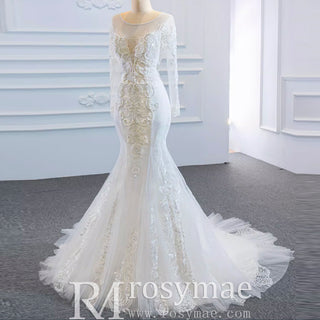 Long Sleeve Mermaid Lace Wedding Dress with Detachable Train