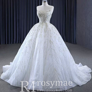 Beaded Lace Apliqued Ball Gown Wedding Dress Strapless Bridal Gown