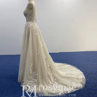 Princess Champagne Tulle Lace A-line Wedding Dress with Vneck
