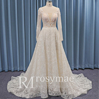 Sheer Bodice and Long Sleeve Floral Lace A-line Wedding Dress Backless