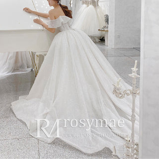 Sparkly Ball Gown Bridal Wedding Dress with Off the Shoulder